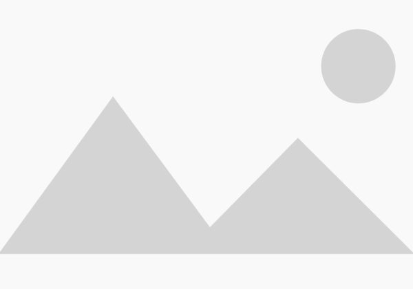 Blog element