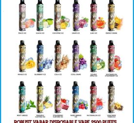 2500 Puffs Vabar Robust Disposable