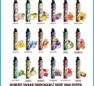2500 Puffs Vabar Robust Disposable