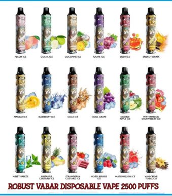 2500 Puffs Vabar Robust Disposable