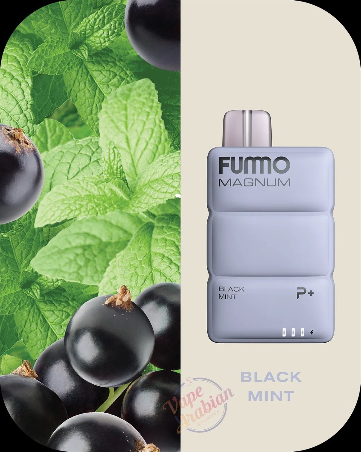 FUMMO Magnum 8000 Puffs Disposable In UAE