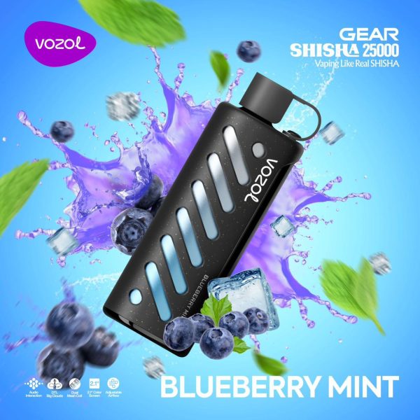 Vozol Gear Shisha 25000 Puffs Disposable Blueberry Mint