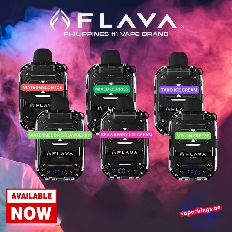 Flava Nimmbox 10000 Puffs Disposable Vape